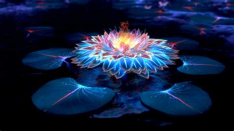 Black Lotus Flower Wallpaper