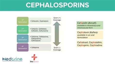 Cephalosporins Pharmacology: 1st to 5th Generations, Mnemonics ...