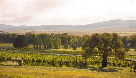 Lake George Winery | Producing award-winning Canberra region wines for ...