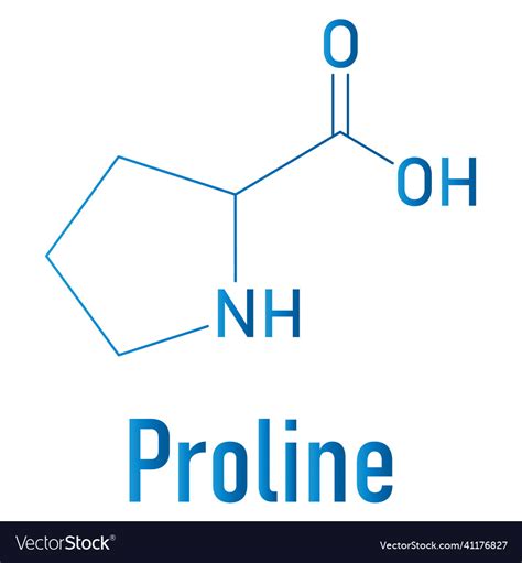 Proline amino acid molecule skeletal formula Vector Image