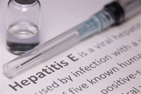 Researchers Find Path Toward Hepatitis E Treatment | Center for Health ...