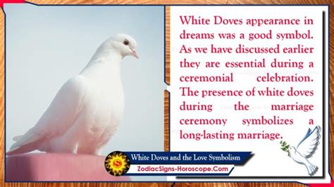 White Doves and the Love Symbolism | Symbolism of White Doves | ZSH