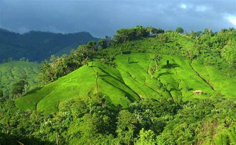 Top 10 Mountains in Bangladesh, You Shouldn't Miss! - Travel Mate