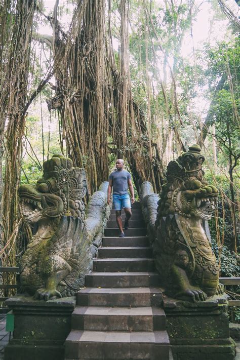 How To Visit Ubud Monkey Forest In Bali - Hand Luggage Only - Travel ...