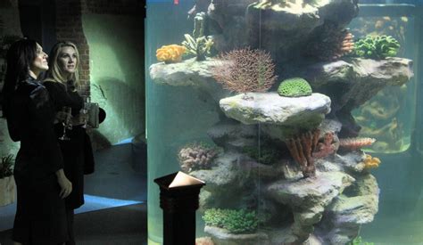 Greater Cleveland Aquarium opening gala raises money for Ronald ...