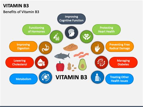 Vitamin B3 PowerPoint and Google Slides Template - PPT Slides