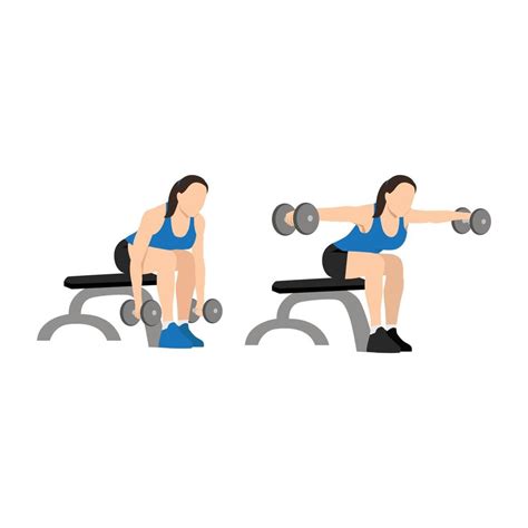 Woman doing Dumbbell bent over reverse flyes. Flat vector illustration ...