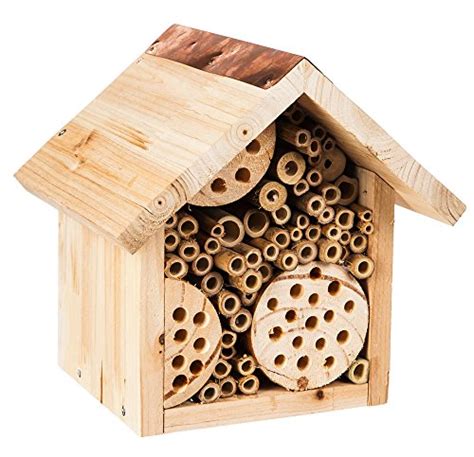 How to Make a Mason Bee Habitat - Perfect Life Cycle of a Bee ...