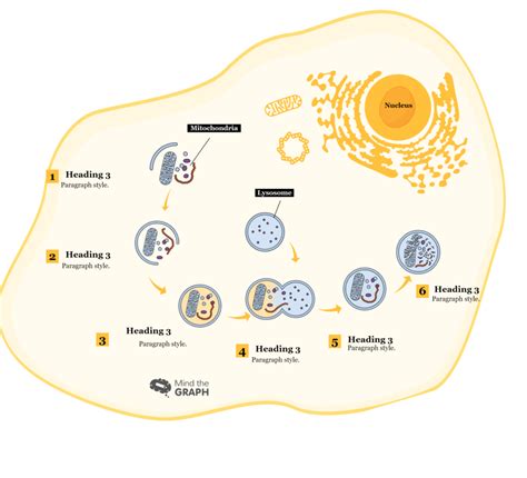 How to make a graphical summary for Cell Press