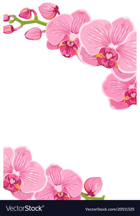 orchid border clip art 10 free Cliparts | Download images on Clipground ...