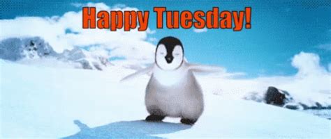 Happy Tuesday GIFs | Tenor