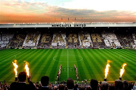 Newcastle United Stadium Tour for Two | Virgin Experience Days