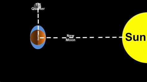 Space Science Tutorial: Spring and Neap Tides - YouTube