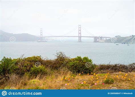 Golden Gate Bridge on a Foggy Day Stock Image - Image of transportation ...