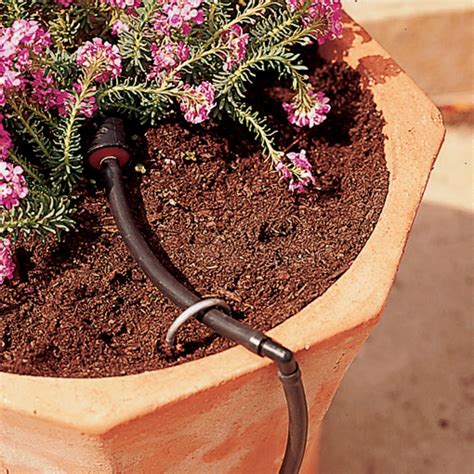 Drip watering for containers - Sunset Magazine