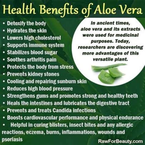 Aloe Vera vs. Coconut Oil: Benefits and Uses! Which Is better? - HubPages