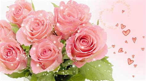 Pretty Pink Roses - Roses Wallpaper (34610956) - Fanpop