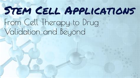 Stem Cell Applications- From Cell Therapy to Drug Development & Beyond