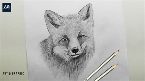 How to Draw Fox Face drawing - YouTube