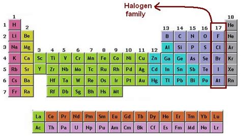 Halogens Periodic Table