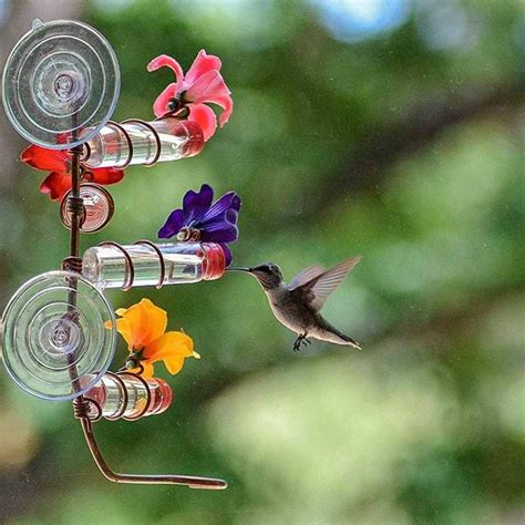 11 Amazing Hummingbird Feeders for Your Backyard | Family Handyman