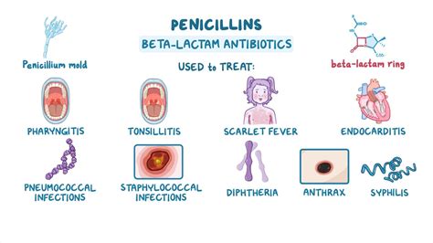 Antibiotics Cephalosporins: Nursing Pharmacology Osmosis, 46% OFF