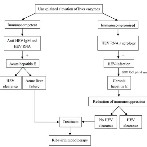 Diagnostic and treatment algorithm of HEV infection. HEV: hepatitis E ...