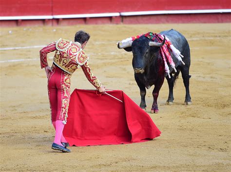 Bullfighting continues in Spain despite growing opposition - Earth.com