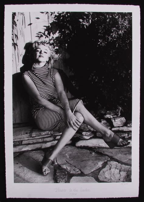 The Hulton Archive - Marilyn Monroe "Flower in the Garden" 16x23 ...