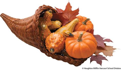 American Heritage Dictionary Entry: cornucopia