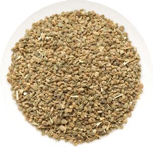 ingredient-celery-seed-extract - General Sciences