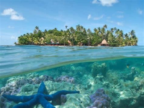 #ashokasays: Coral Reefs of Lakshadweep