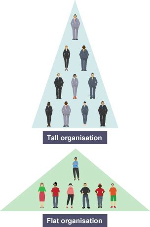 Flat Organizational Chart