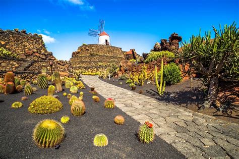 Single Holidays in Lanzarote, Canary Islands. Travel One