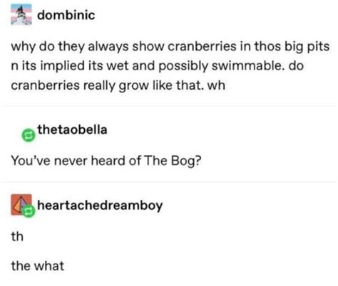 Wolf Spiders Of The Cranberry Bog: A Tumblr Thread