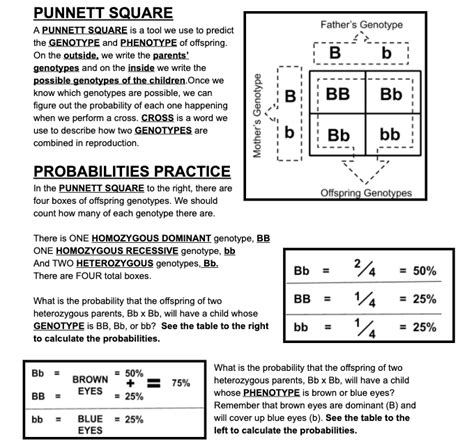 Use Punnett Squares - Middle School Life Science