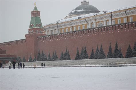 Kremlin Wall Blue Spruce The Red - Free photo on Pixabay - Pixabay