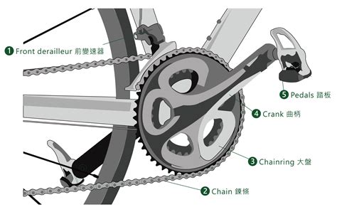 Illustrated bicycle parts diagram, choose the most suitable bike ...