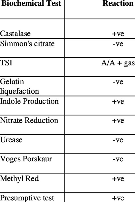 Escherichia Coli Biochemical Test