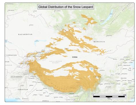 THE SNOW LEOPARD’S RANGE – Snow Leopard Conservancy