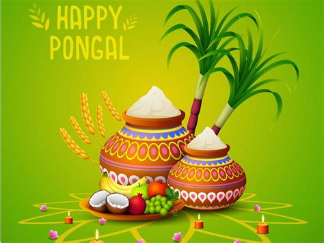 Happy Pongal 2024: Images, Wishes, Quotes and WhatsApp Messages To Share