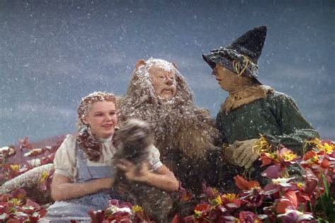 The snow in the movie Wizard of Oz was 100% made of asbestos ...