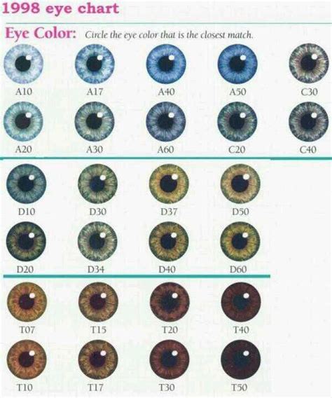 eye color probability chart 9gag - eye color gene probability chart the ...