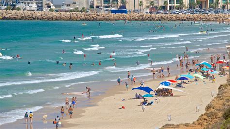 TOP Tel Aviv Beach Resorts for 2021 - Book with Free Cancellation on ...