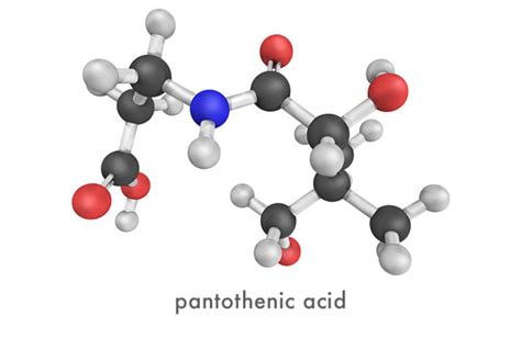 PANTOTHENIC ACID (also known as vitamin B5 or pantothenate) - Neuroneeds