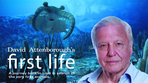 First Life with David Attenborough : Atlantic Productions : Free ...