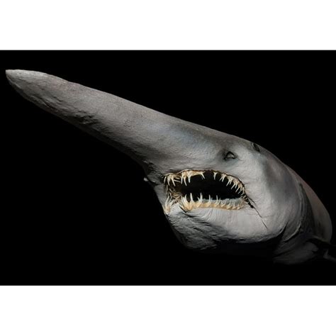 Portrait of a goblin shark showing its sharp teeth Poster Print by ...