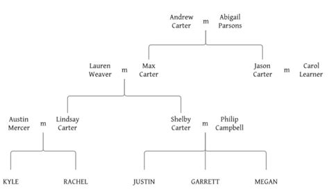 The Carter Family Tree – Stanford Creek MF and MM series