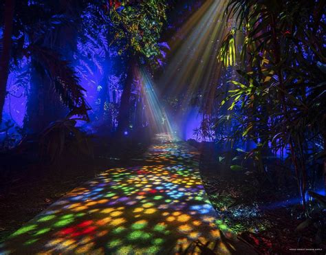 NightGarden at The Fairchild Tropical Botanic Gardens