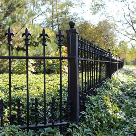 Wrought Iron Fence